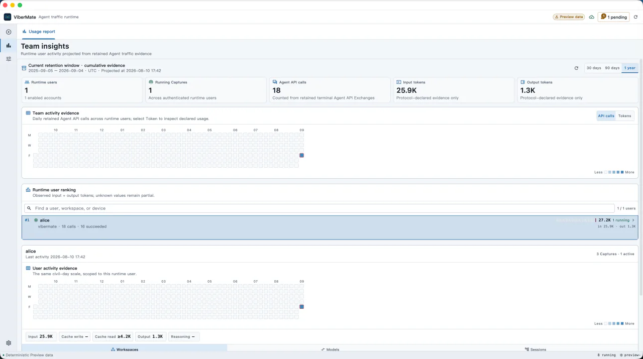 ViberMate Team insights view with API call activity and token totals for one runtime user